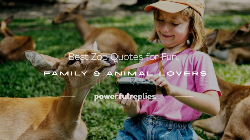zoo quotes
